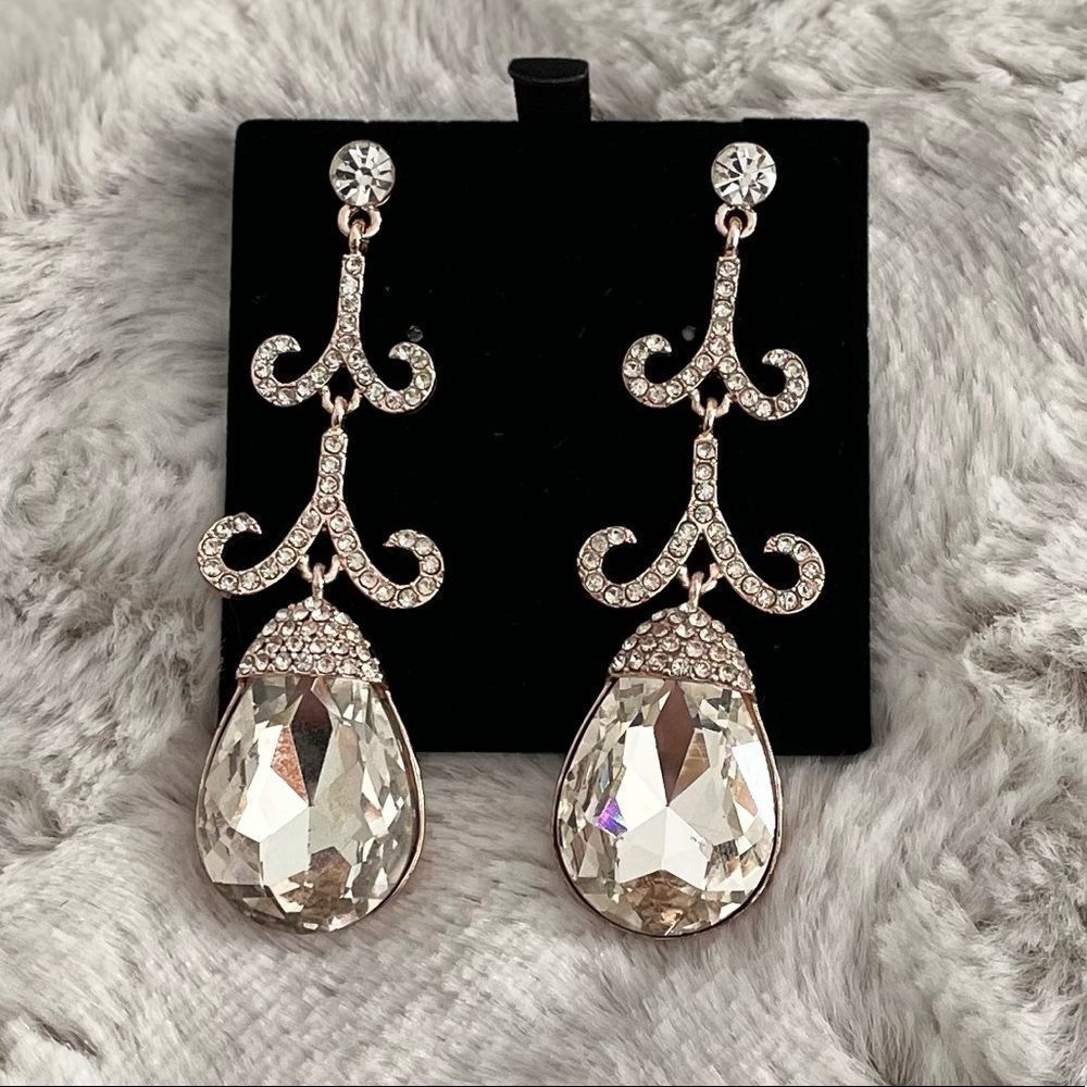 Fashion Drop Earrings